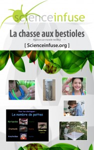 Affiche chasse